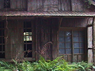 No Image of Site