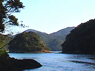 No Image of Site
