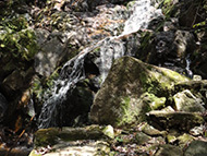 No Image of Site